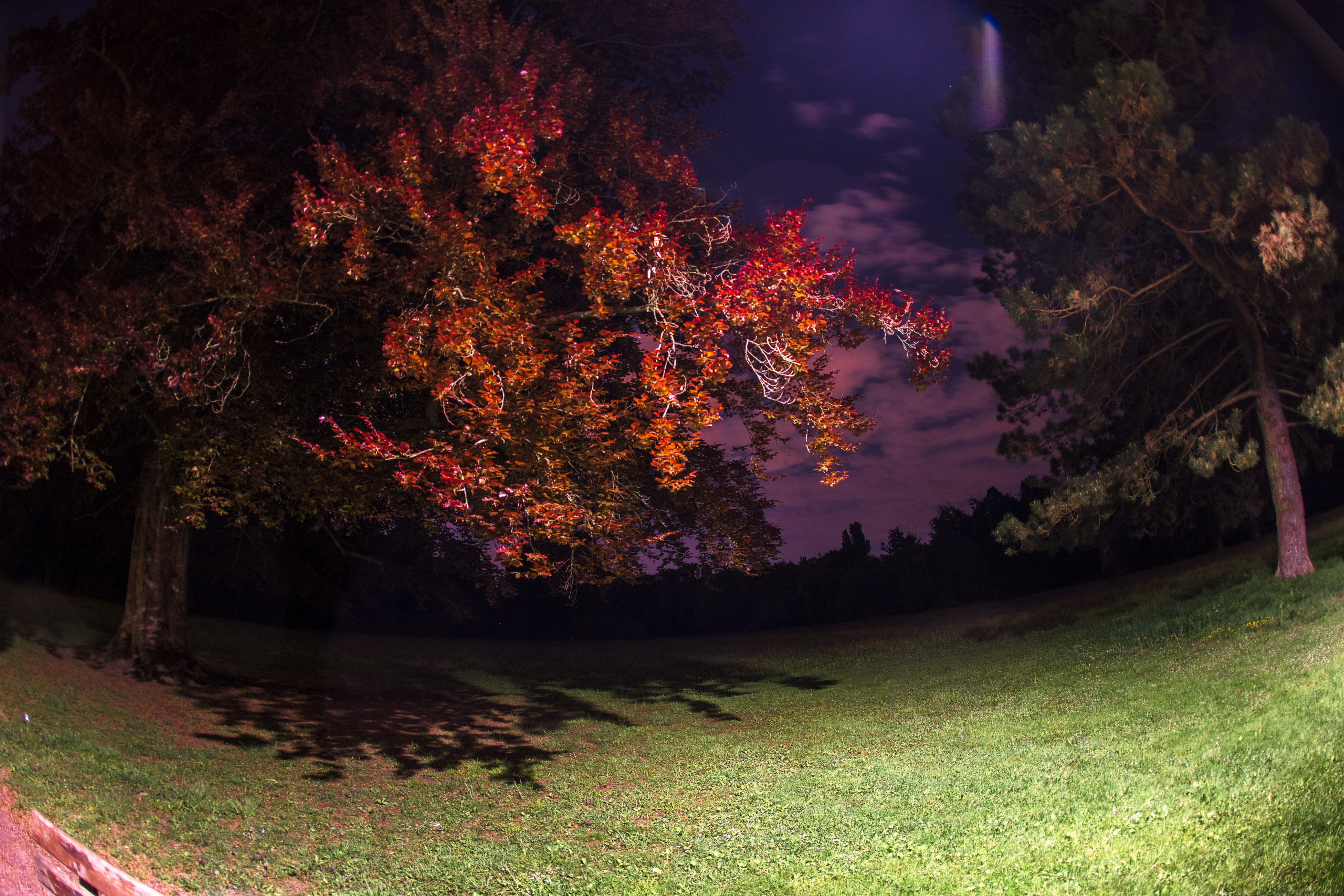 20220508000550 DP017493 2